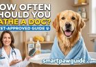 How Often Should You Bathe a Dog? Vet-Approved Guide