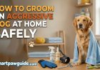 How to Groom an Aggressive Dog at Home Safely