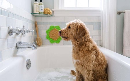 How to Keep a Dog Calm During a Bath (Vet-Approved Routine)