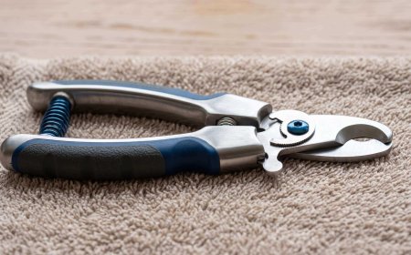 Best Dog Nail Clippers for Beginners (Safe & Easy to Use)