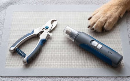 Nail Grinder vs Clippers: Which Is Safer for Your Dog?