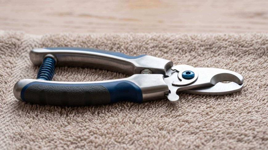 Best Dog Nail Clippers for Beginners (Safe & Easy to Use)